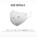 4 Layers 2D Adult Mask Pack (5pcs) - Image 2